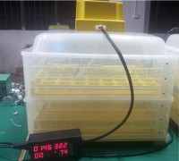 /album/incubadoras/small-chicken-egg-incubator-hold-96eggs-automatic-egg-turning-ew-96b-jpg/